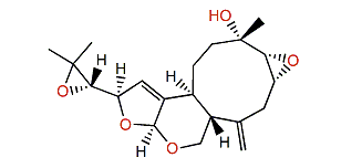 Novaxenicin A